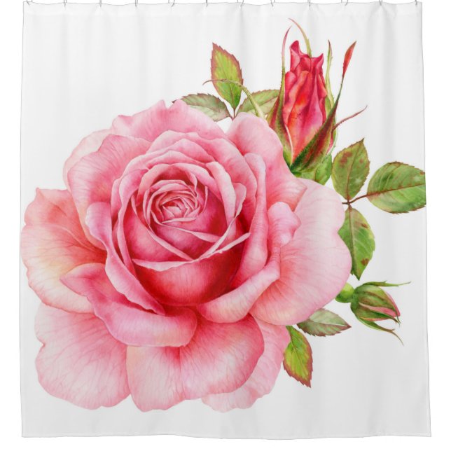 Cortina Para Box Ilustração aquosa de uma delicada rosa wi (Frente)