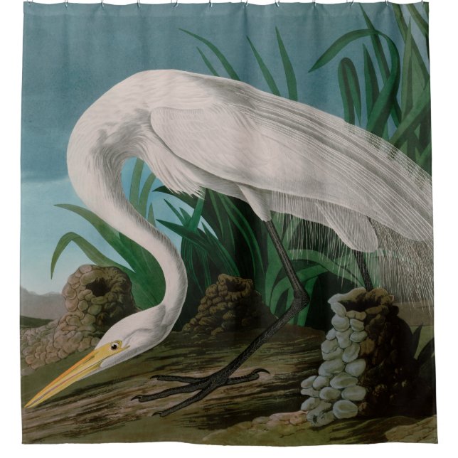Cortina Para Box Impressão de Audubon, Aves Brancas de Herões da Am (Frente)