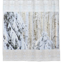 Inverno Sun na floresta do álamo do abeto vermelho