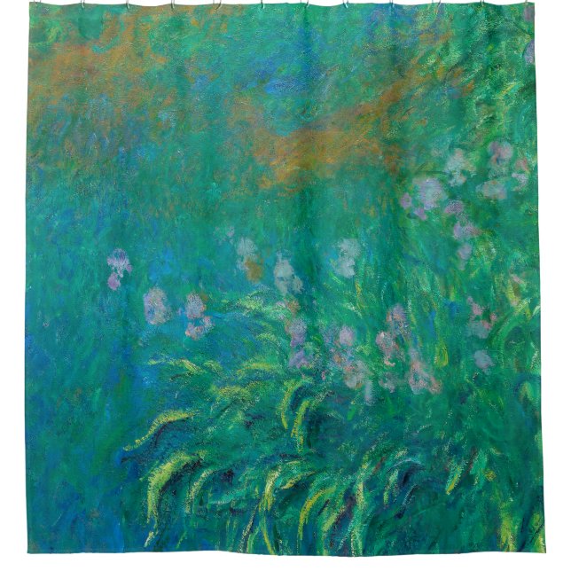 Cortina Para Box Irises De Claude Monet (Frente)