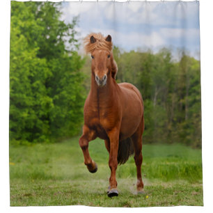 Cortina Para Box Islandês Pony Tölt Funny Photo Horse Lovers - Tub