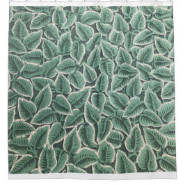 Cortina Para Box Jane Austen Home Wallpaper