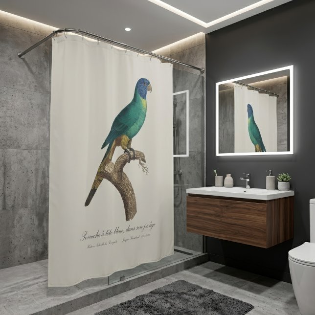 Cortina Para Box Juvenil de loricueto arcoíris Trichoglossus molucc (Perruche a tete bleue / Rainbow lorikeet, juvenile. Shower Curtain)