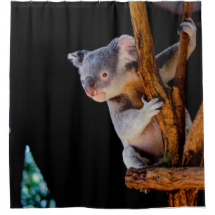 Cortina Para Box Koala Cute em Cinza