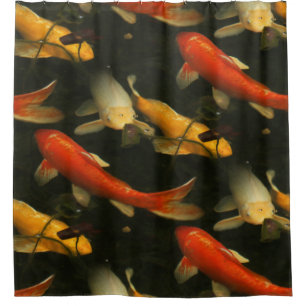 Cortina Para Box Koi