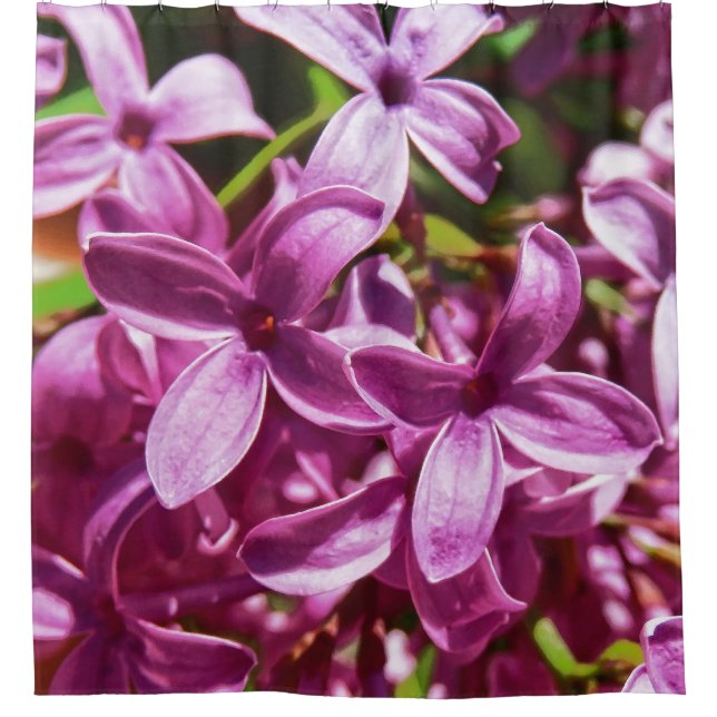 Cortina Para Box Lilac Closeup (Frente)