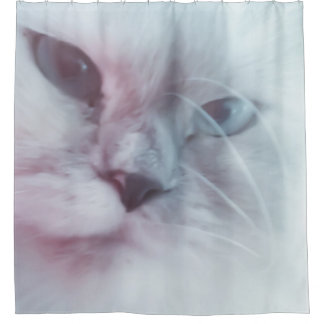 Cortina Para Box Lilly