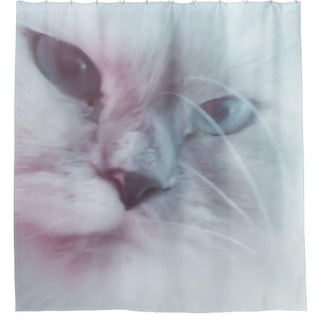 Cortina Para Box Lilly (Frente)