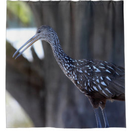 Cortina Para Box Limpkin, The Crying Bird