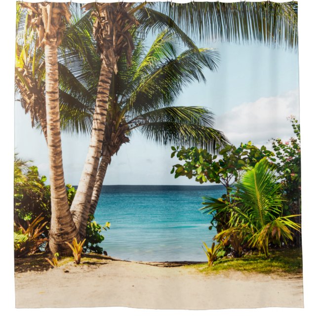 Cortina Para Box Lindas Criaturas Oceânicas (Frente)