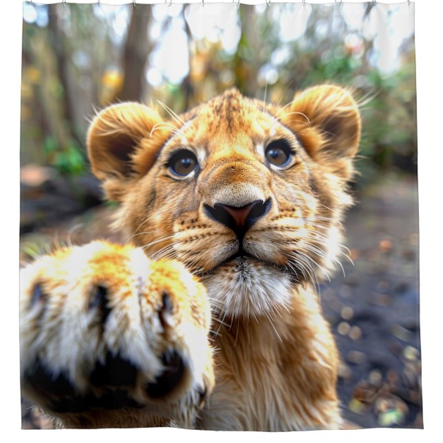 Cortina Para Box Lion Cub (Frente)