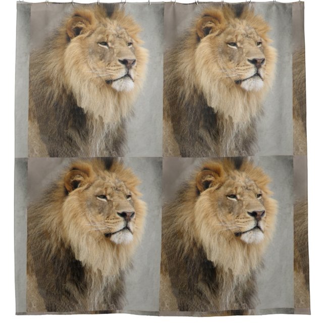 Cortina Para Box Lion Lover Jungle (Frente)