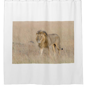Cortina Para Box Lion walking