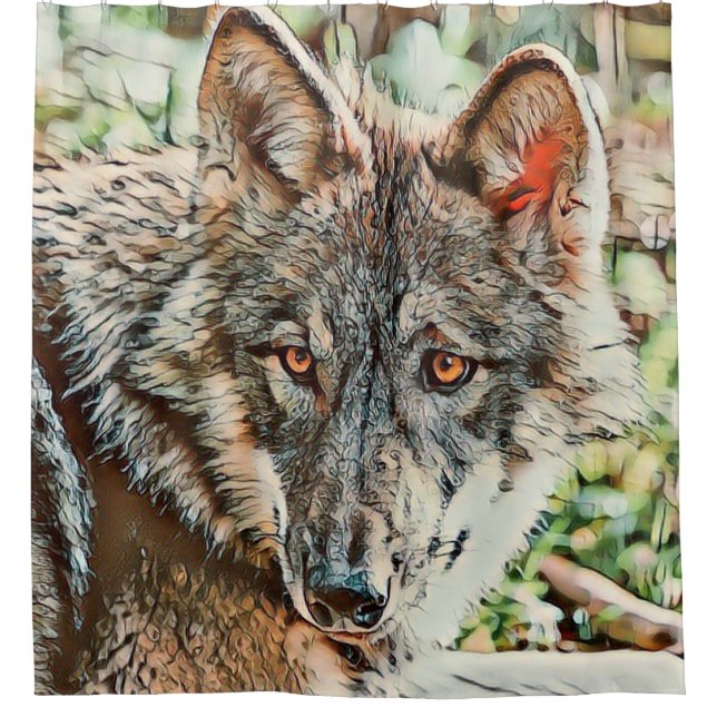 Cortina Para Box lobo de toons (Frente)