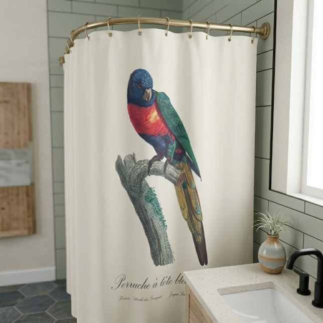 Cortina Para Box Lorique Arco-Íris Macho, Trichoglossus Moluccanus (Rainbow Lorikeet Male, Trichoglossus Moluccanus. Shower Curtain)