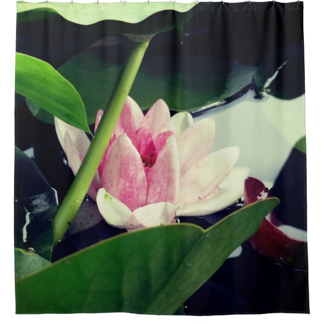 Cortina Para Box Lotus Rosa (Frente)