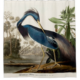 Cortina Para Box Louisiana Heron, 1834, das Birds of America