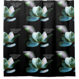 Cortina Para Box Magnolia Closeup Spotlight Matthew 5:16