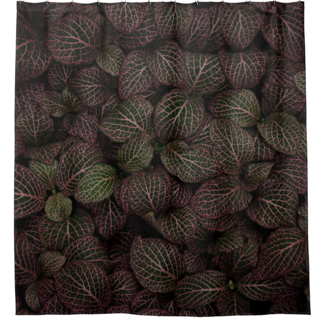 Cortina Para Box Maroon, flor de pétalas (Frente)