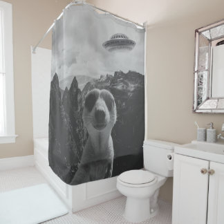 Cortina Para Box Meerkat Selfie In A Mountain Landscape Surrealist