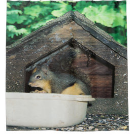 Cortina Para Box Meu amigo...