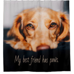 Cortina Para Box Meu melhor amigo tem um cão de patas, Puppy Meme