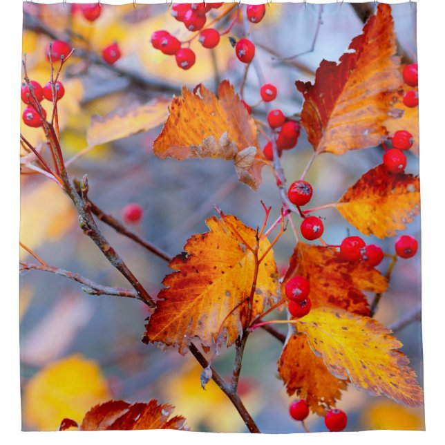 Cortina Para Box Morangos silvestres charmosos no outono (Frente)