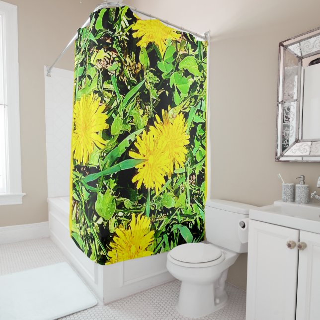 Cortina Para Box Mountain Dandelions Foto De Ottawa Canadá (In Situ)