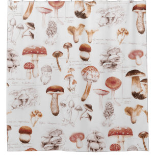 Cortina Para Box Mushroom Medley: Padrão Sem Costura De Aquarela