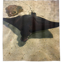 Cortina Para Box Mystical Stingray