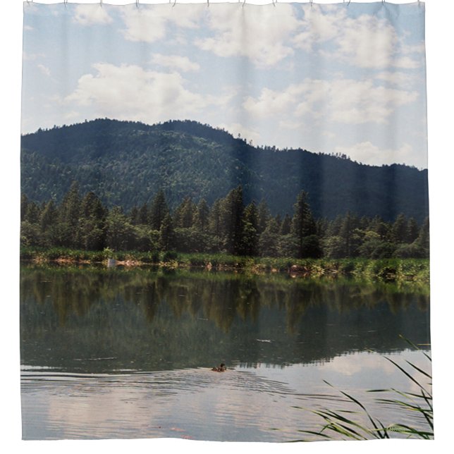 Cortina Para Box Nadando Sozinho...... (Frente)