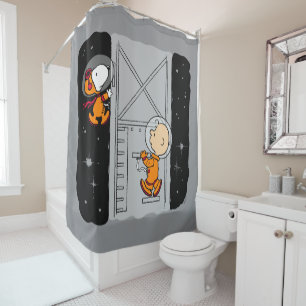 Cortina Para Box NASA  Snoopy & Charlie Brown