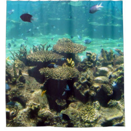 CORTINA PARA BOX NATAÇÃO COM OS PEIXES