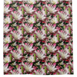 Cortina Para Box Natureza do padrão de flores brancas