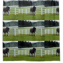 Cortina Para Box Nonesuch at Cedar Point 