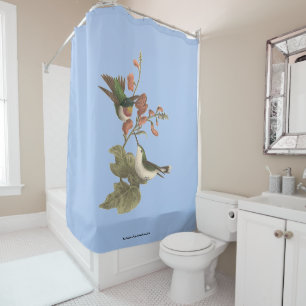 Cortina Para Box O beija-flor de garganta vermelha ou de garganta s