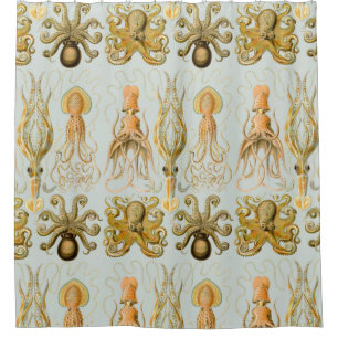 Cortina Para Box O Gamochonia de Ernst Haeckel