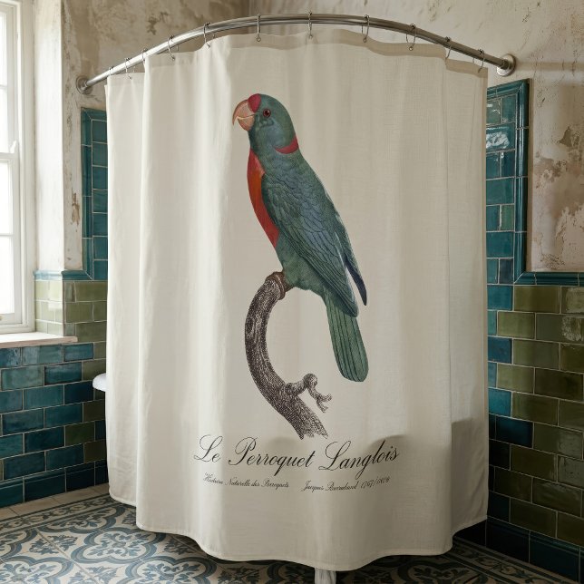 Cortina Para Box O Papagaio Langlois de Jacques Barraband (Le Perroquet Langlois by Jacques Barraband. Shower Curtain)