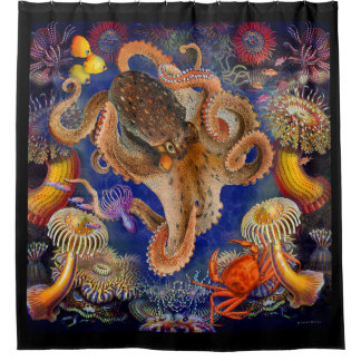 Cortina Para Box Octopus Garden Sower Cortina