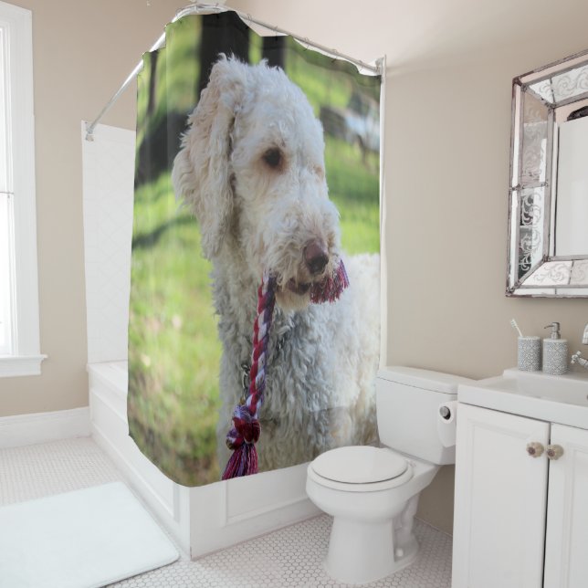 Cortina Para Box Ollie (In Situ)