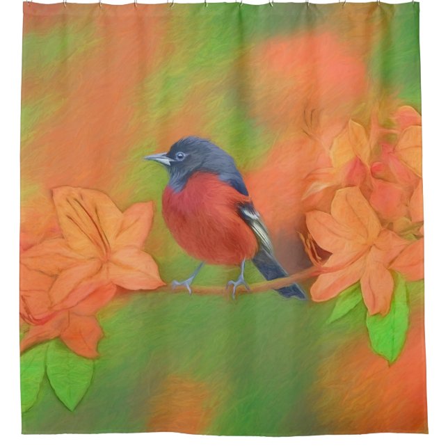 Cortina Para Box Orchard Oriole Songbird Pintura Original (Frente)