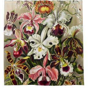 Cortina Para Box Orquídeas, Orquídeas Denusblumen Ernst Haeckel