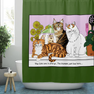 Cortina Para Box Os Gatos estão no comando