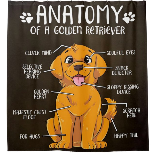Cortina Para Box Ouro de Anatomia Cachorro do Retriever (Frente)
