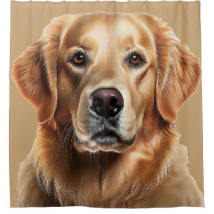 Cortina Para Box Ouro Retriever Dog em