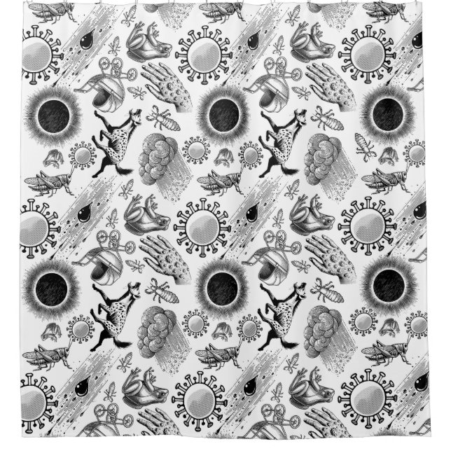 Cortina Para Box Padrão de 10 pragas (Frente)