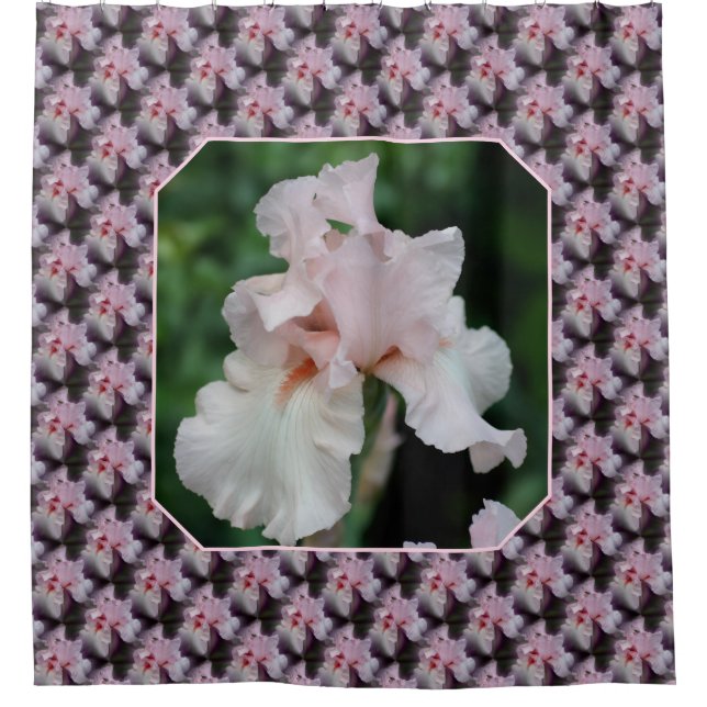 Cortina Para Box Padrão de Flor de Íris Barbada Rosa (Frente)