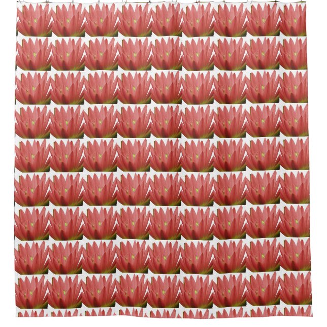 Cortina Para Box Padrão de Tulip (Frente)