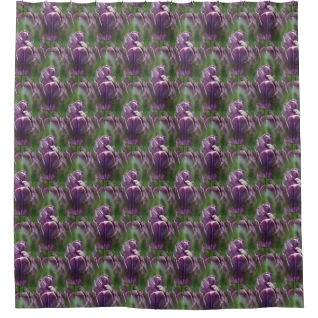Cortina Para Box Padrão Natural Da Flor Da Tulpa Roxa (Frente)