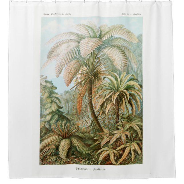 Cortina Para Box Palm Tree Ernst Haeckel (Frente)